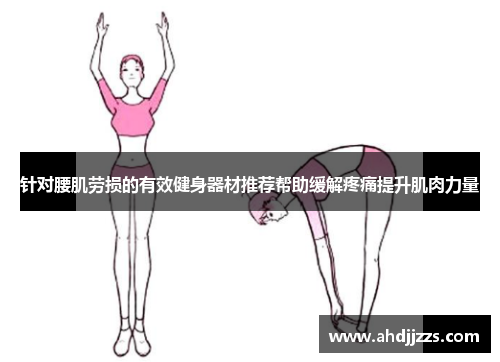 针对腰肌劳损的有效健身器材推荐帮助缓解疼痛提升肌肉力量