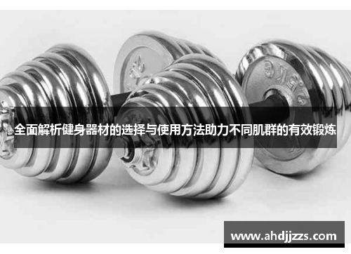 全面解析健身器材的选择与使用方法助力不同肌群的有效锻炼