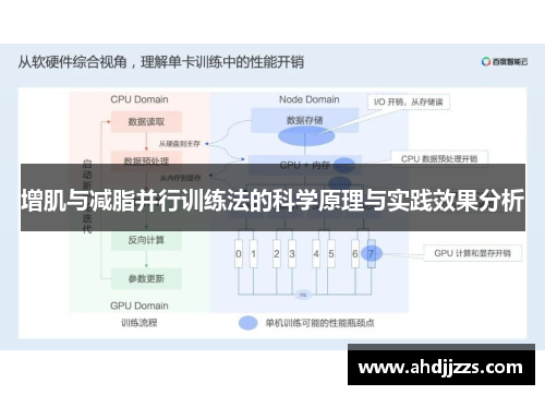 增肌与减脂并行训练法的科学原理与实践效果分析