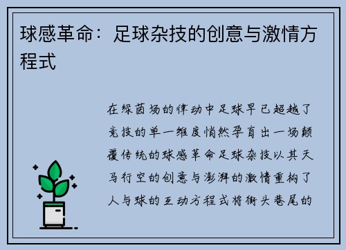 球感革命：足球杂技的创意与激情方程式