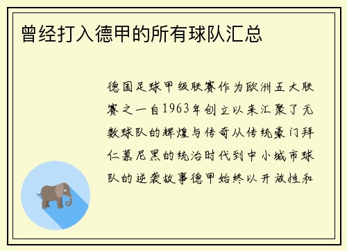 曾经打入德甲的所有球队汇总
